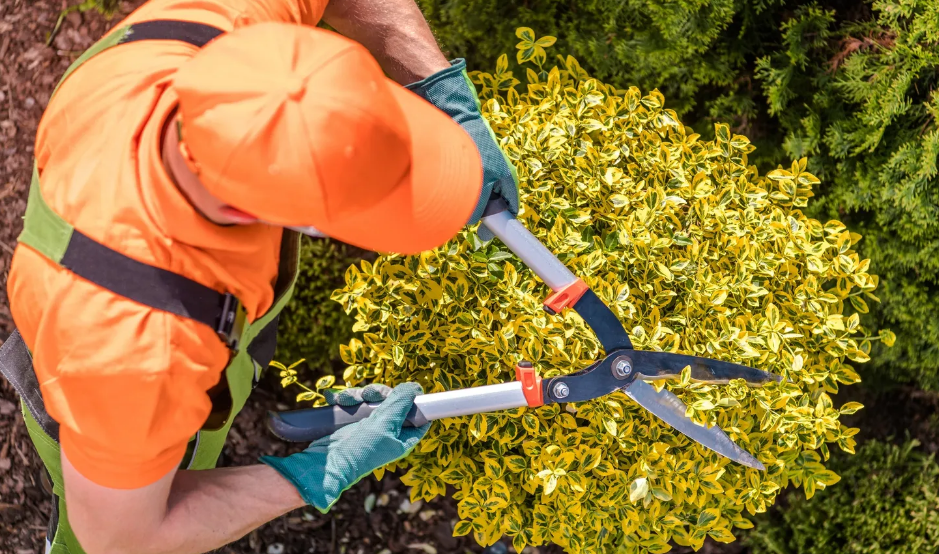 Roger That Lawn and Services - Lawn Maintenance in Riverview, New Brunswick